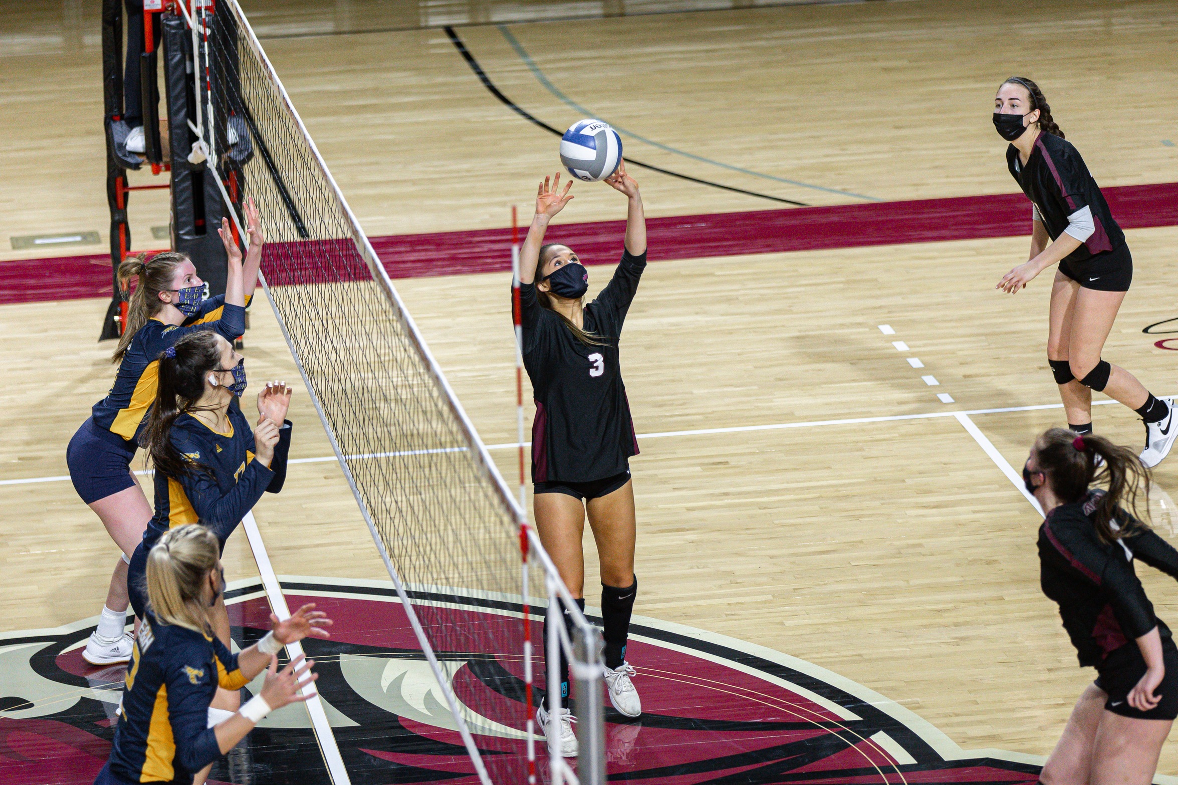 action photo of Roanoke College in a volleyball match